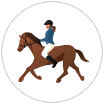 equoterapia